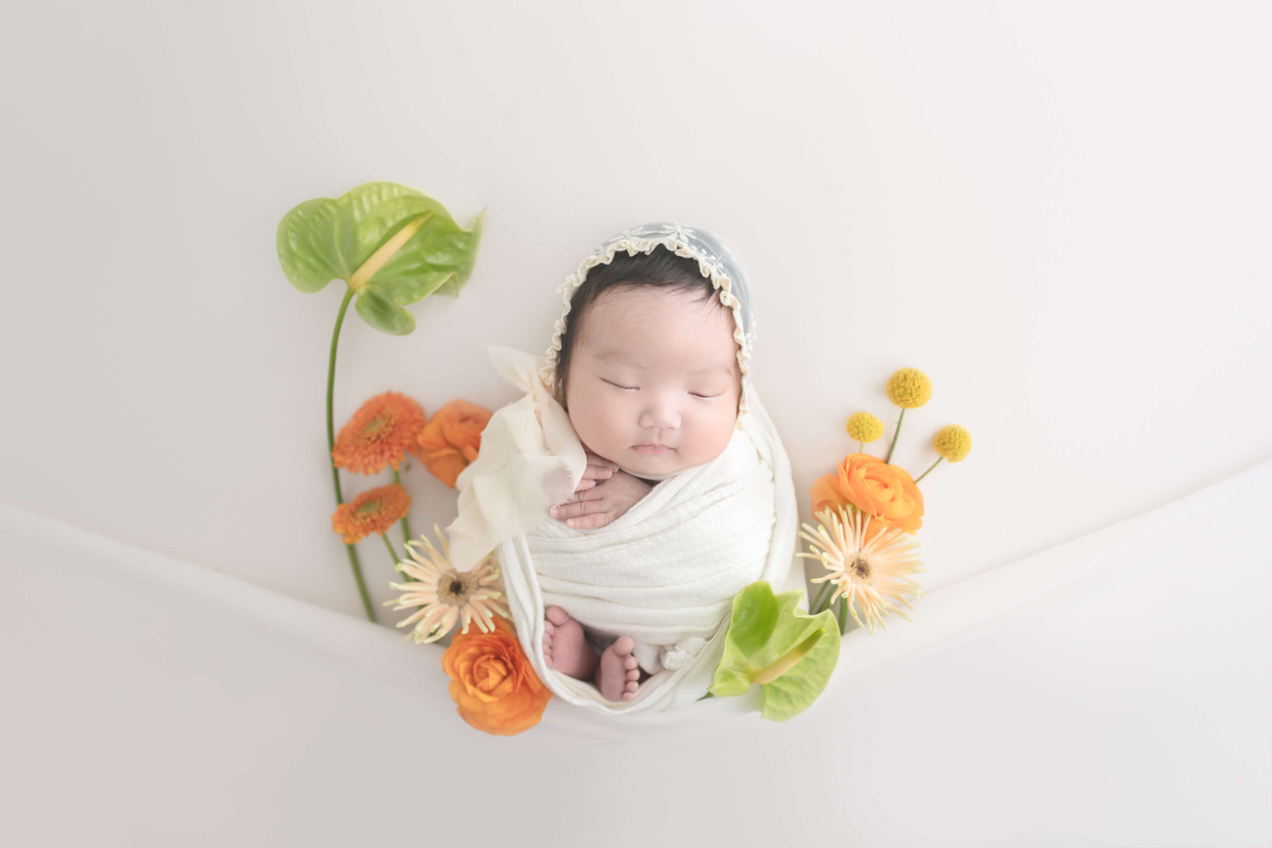 photo-studio-helloのアイキャッチ画像