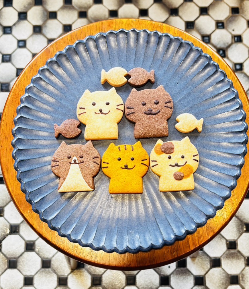 PR画像_2024年度の開催の様子